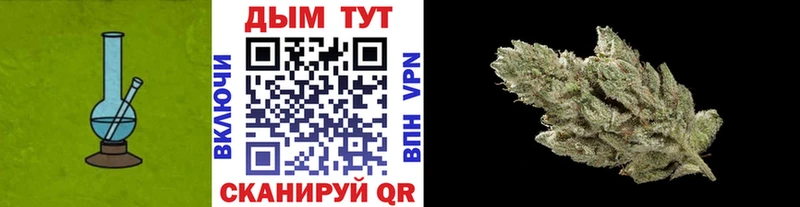 дарк нет наркотические препараты Любань Бошки марихуана планчик где найти